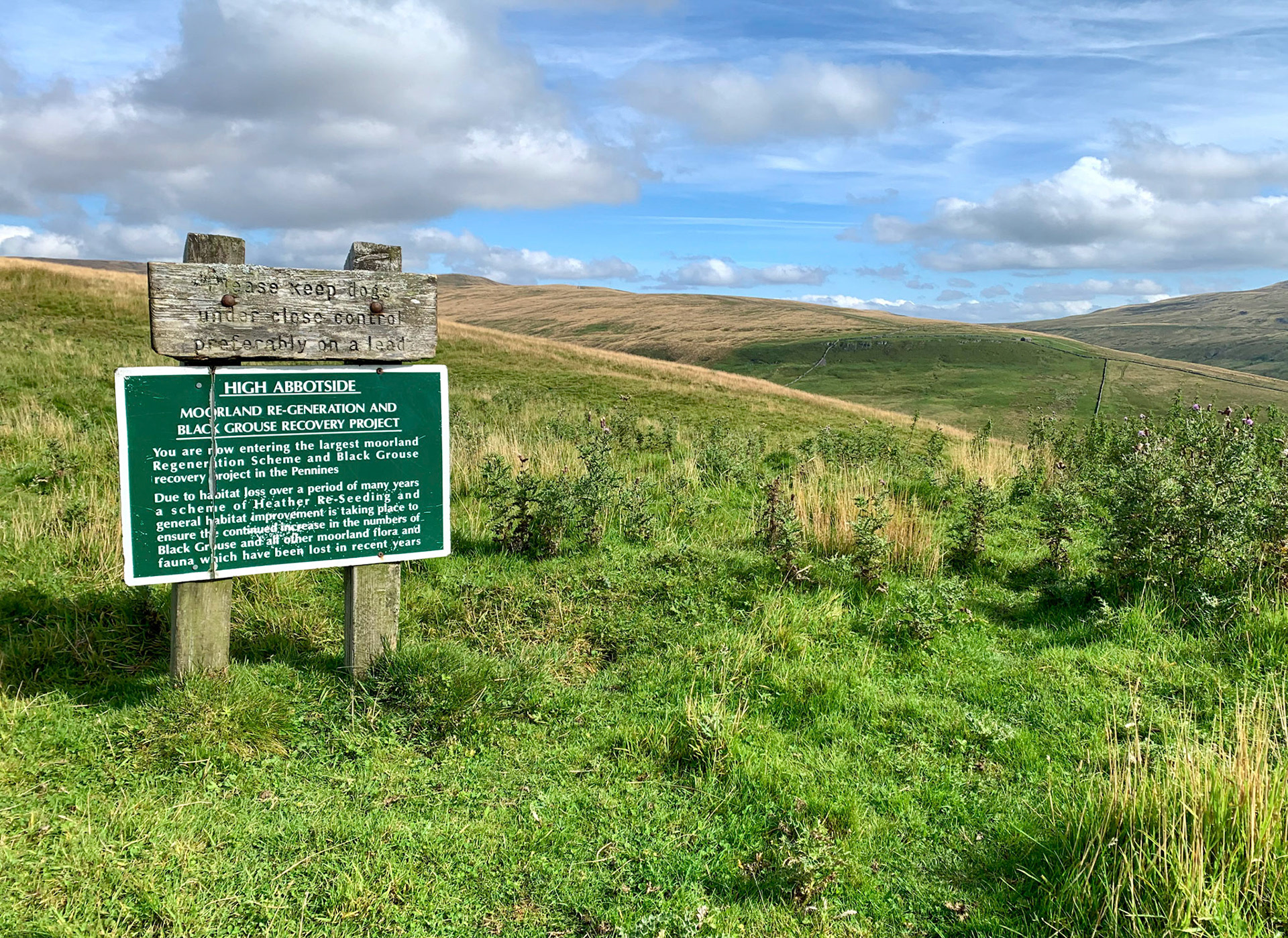 Norfolk, Herriot Way, London Sept 2022