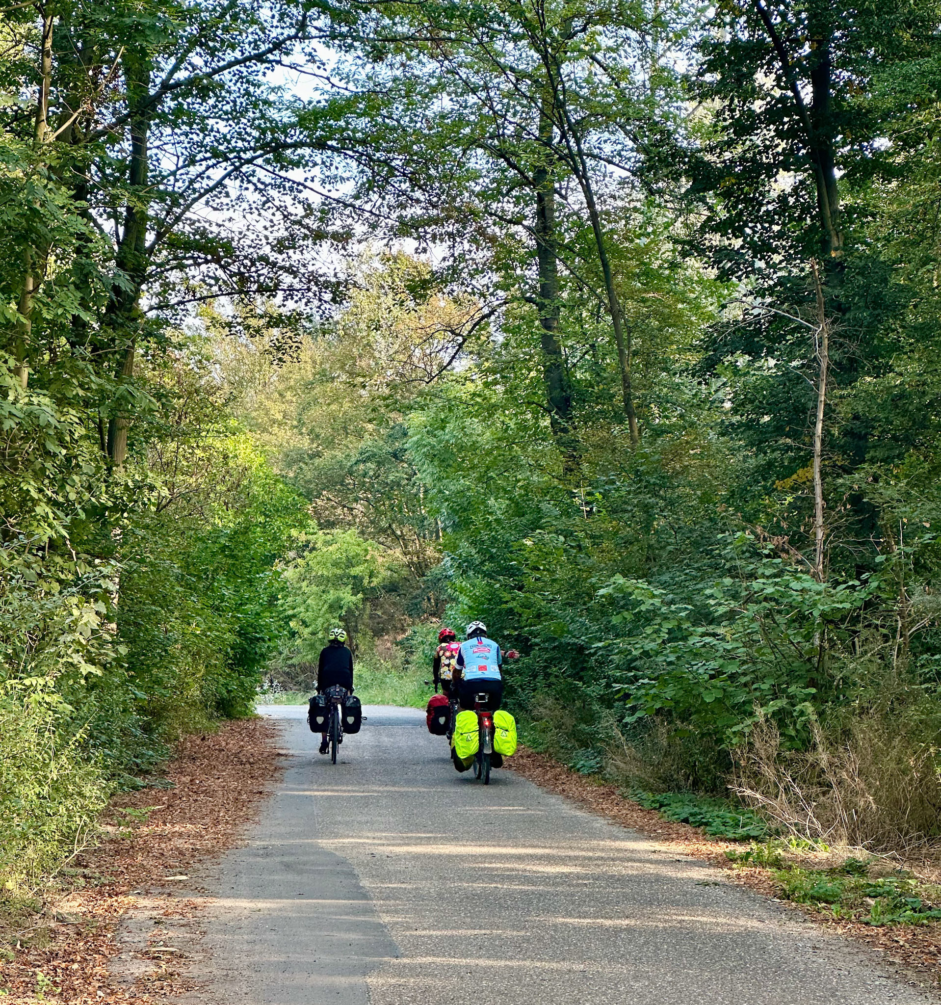 Rhein Pannier Trip 2024