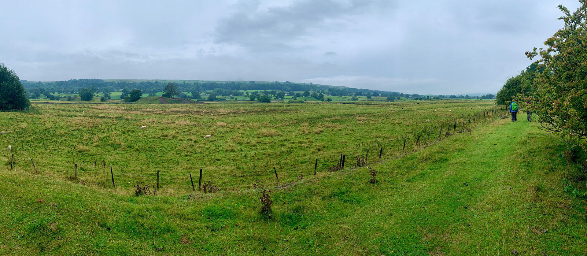 Norfolk, Herriot Way, London Sept 2022