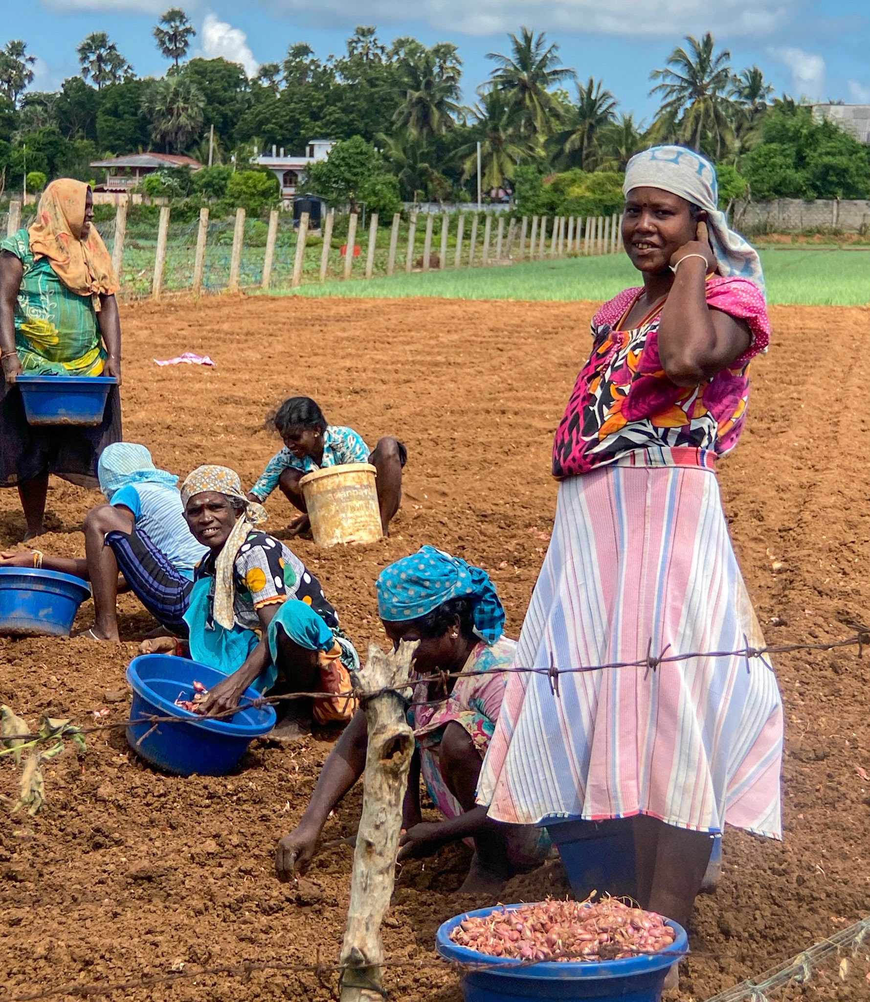 Sri Lanka Bicycle Adventure, January 2020