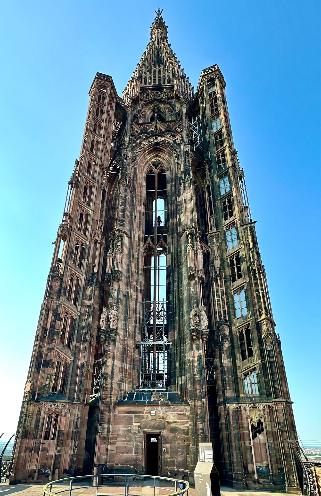 Rhein Pannier Trip 2024