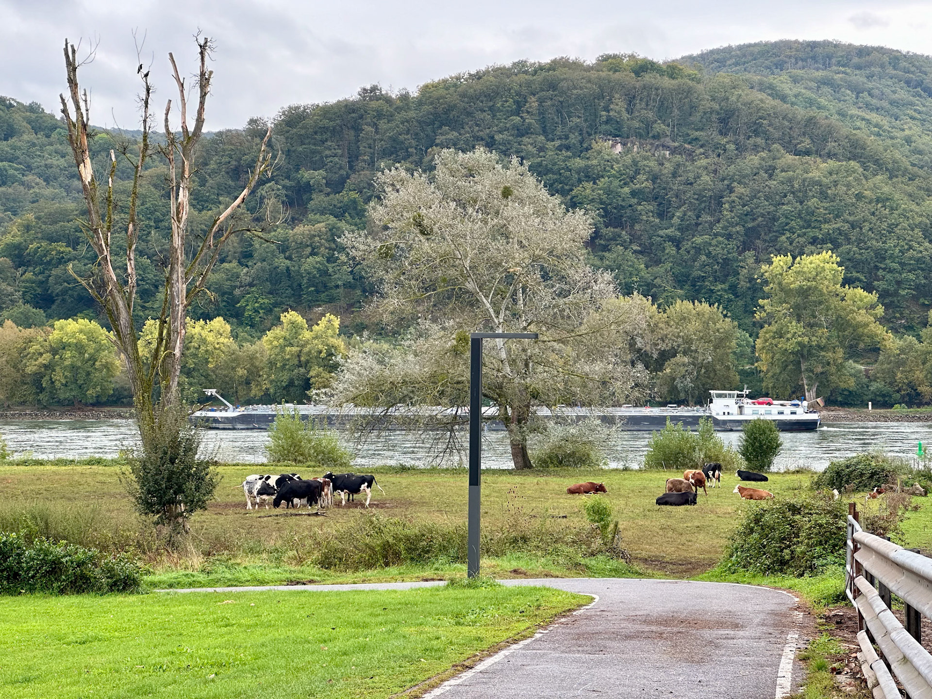 Rhein Pannier Trip 2024