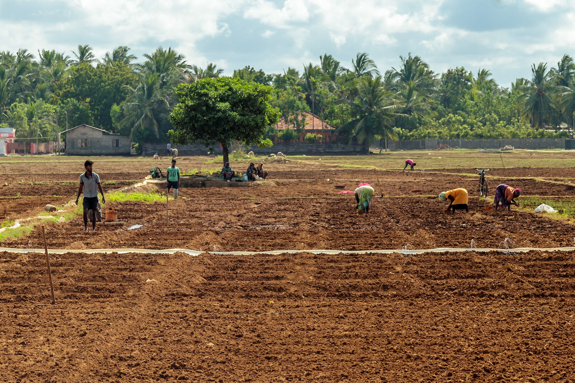 Sri Lankan Bicycle Adventure - Multiple Days Jan 2020