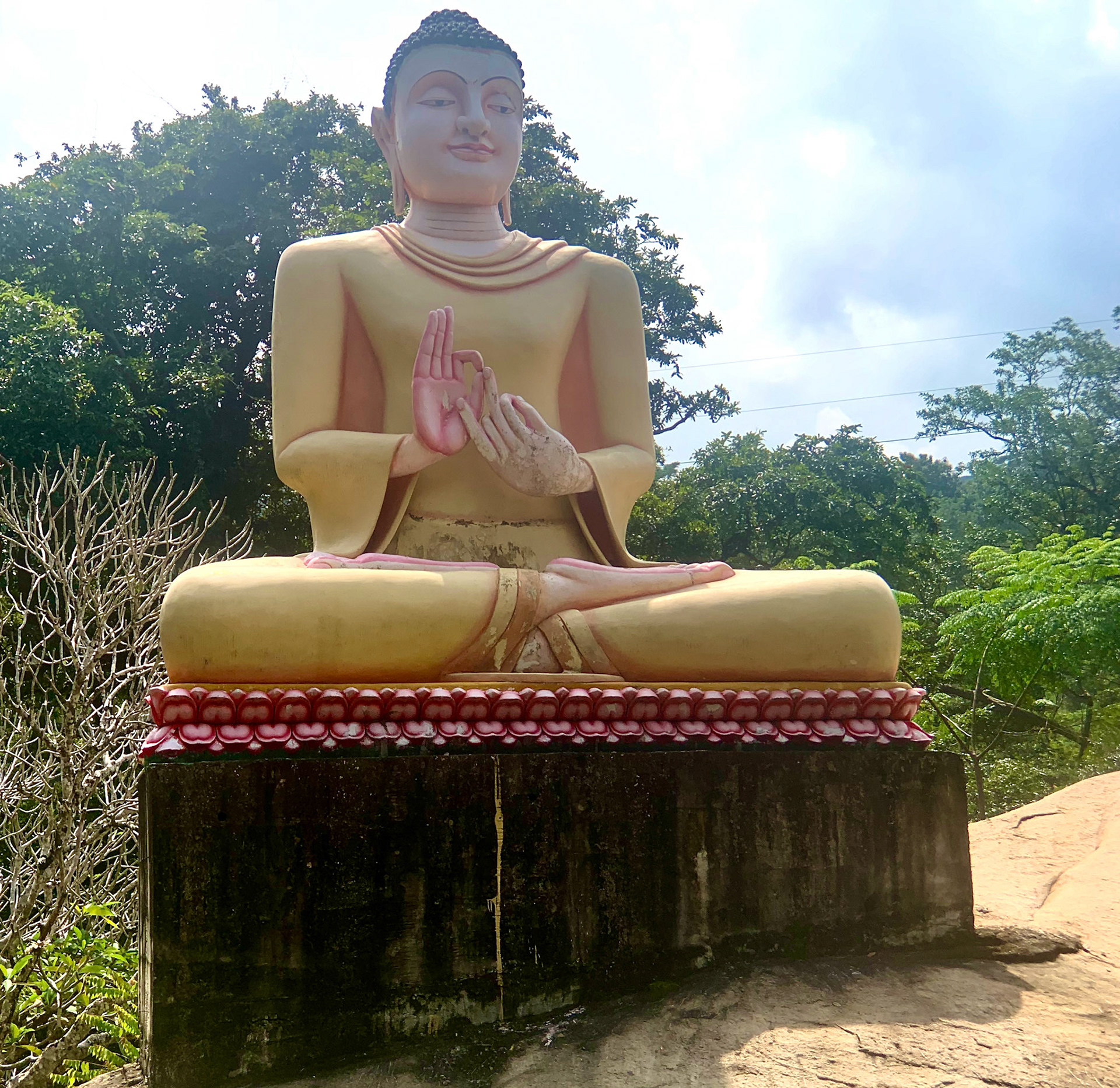 Mount Field to Udawalawe Jan 14th, 2020