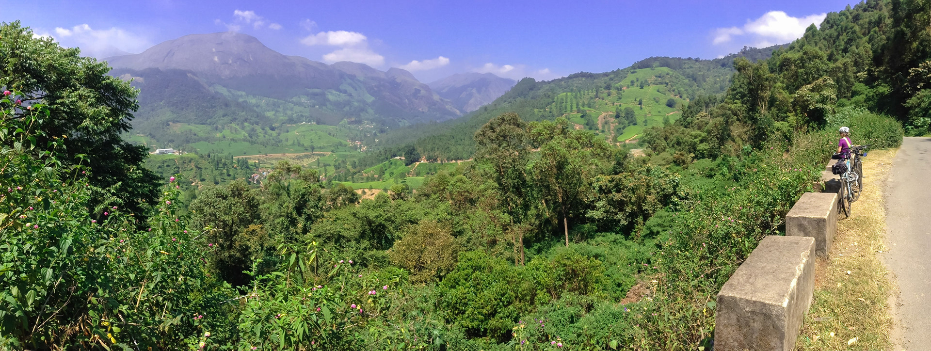 Cycling in the beautiful tea plantations in the western ghats of Kerala