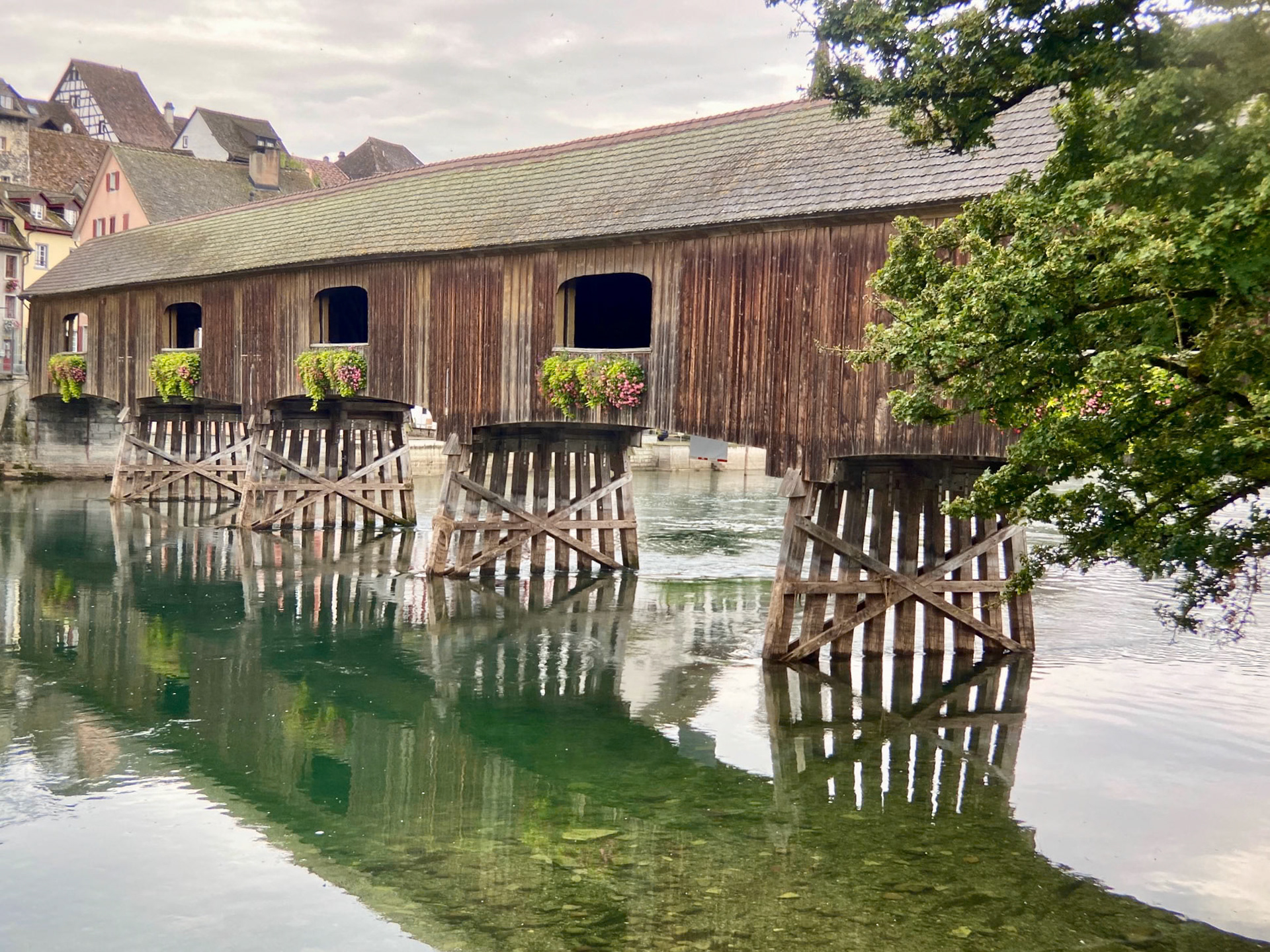 Rhein Pannier Trip 2024