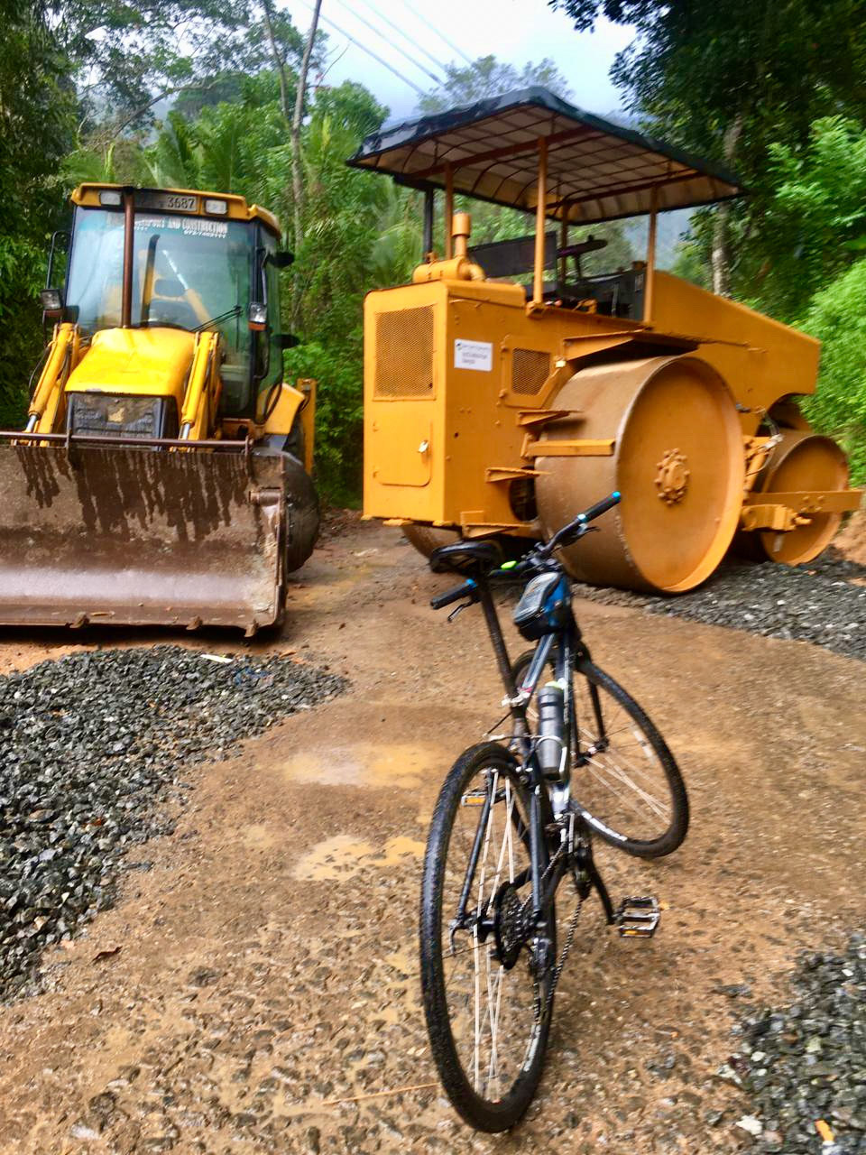 Hatton to Mount Field Jan 13th, 2020
