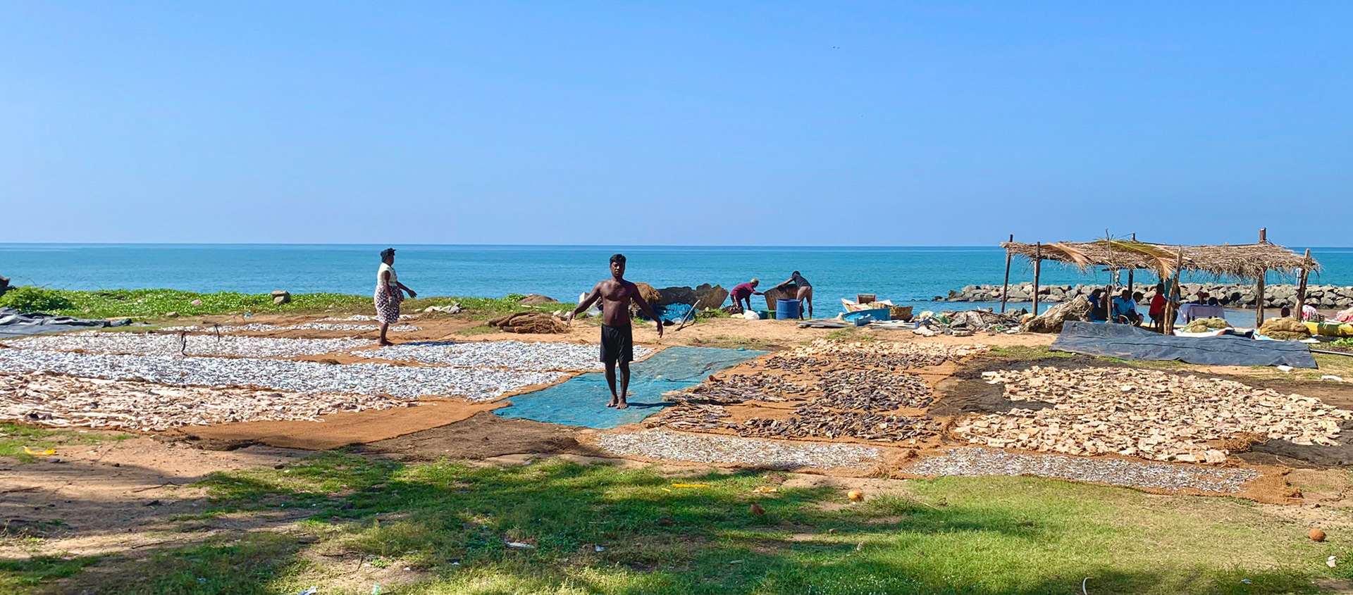 Sri Lankan Bicycle Adventure - Multiple Days Jan 2020