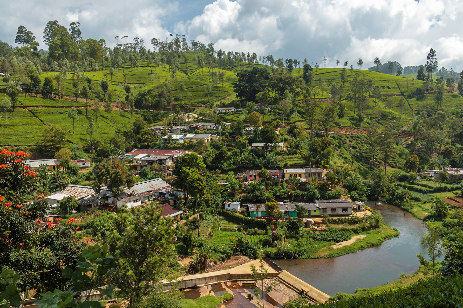 Sri Lankan Bicycle Adventure - Multiple Days Jan 2020