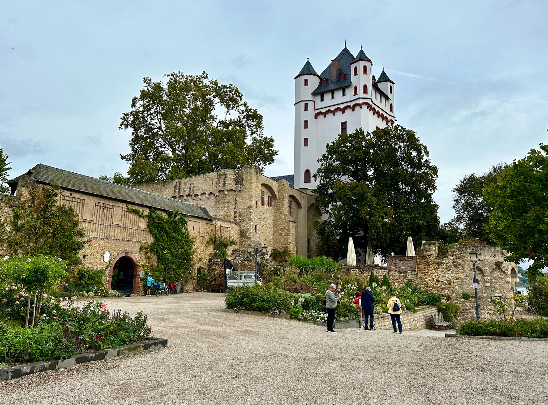Rhein Pannier Trip 2024
