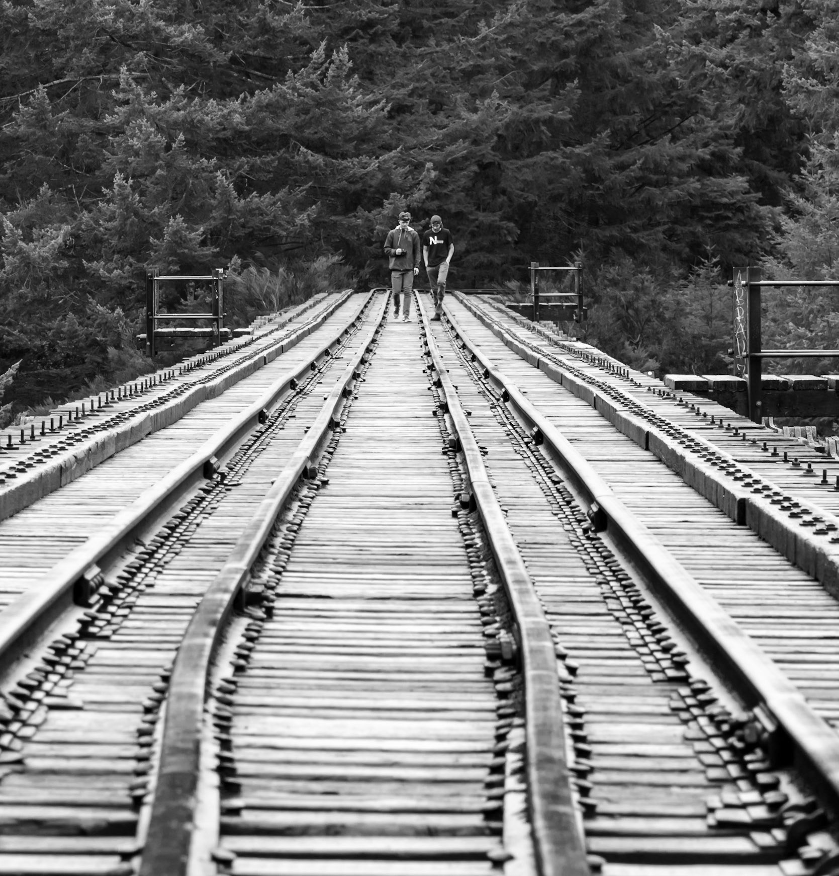 Goldstream Provincial Park - Niagra Falls and Trestle