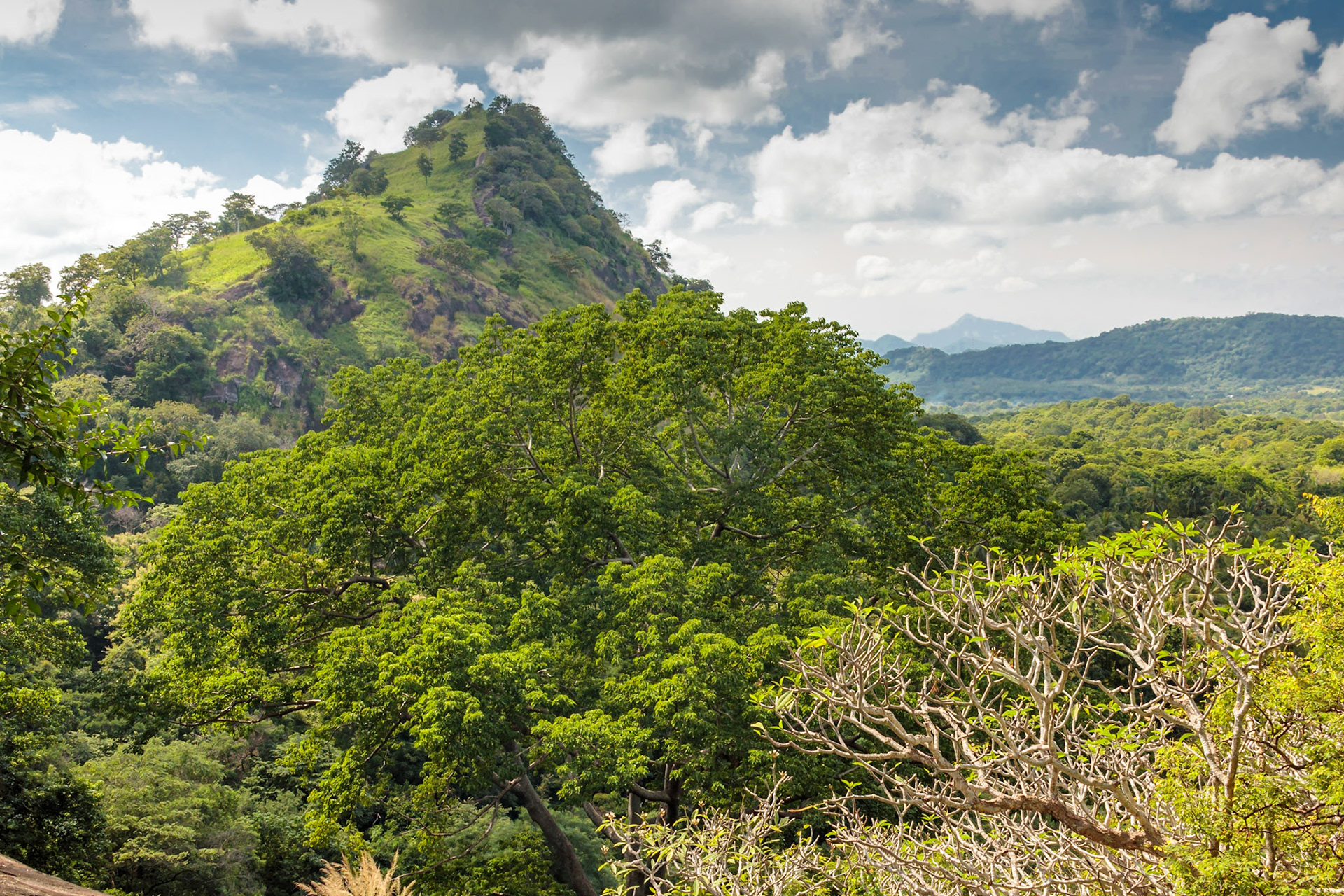 Sri Lankan Bicycle Adventure - Multiple Days Jan 2020