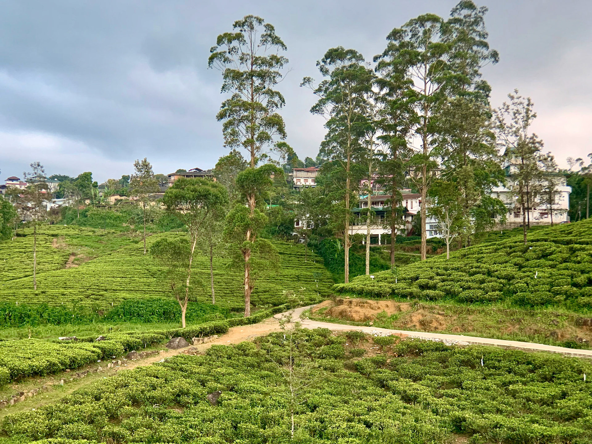 Kandy to Hatton Jan 12th, 2020