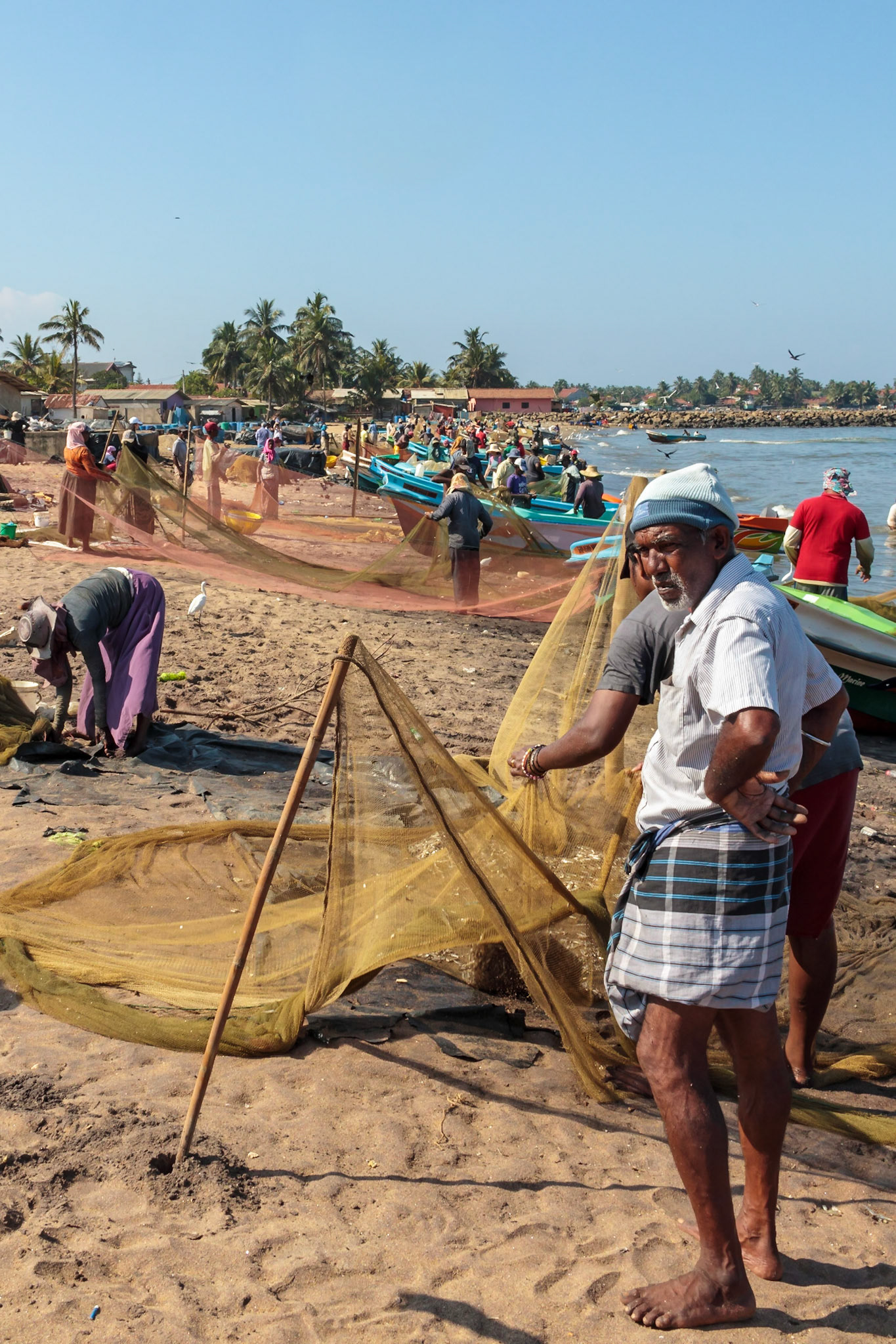 Dave's Sri Lankan Bicycle Adventure, Negombo Town, Jan 5, 2020