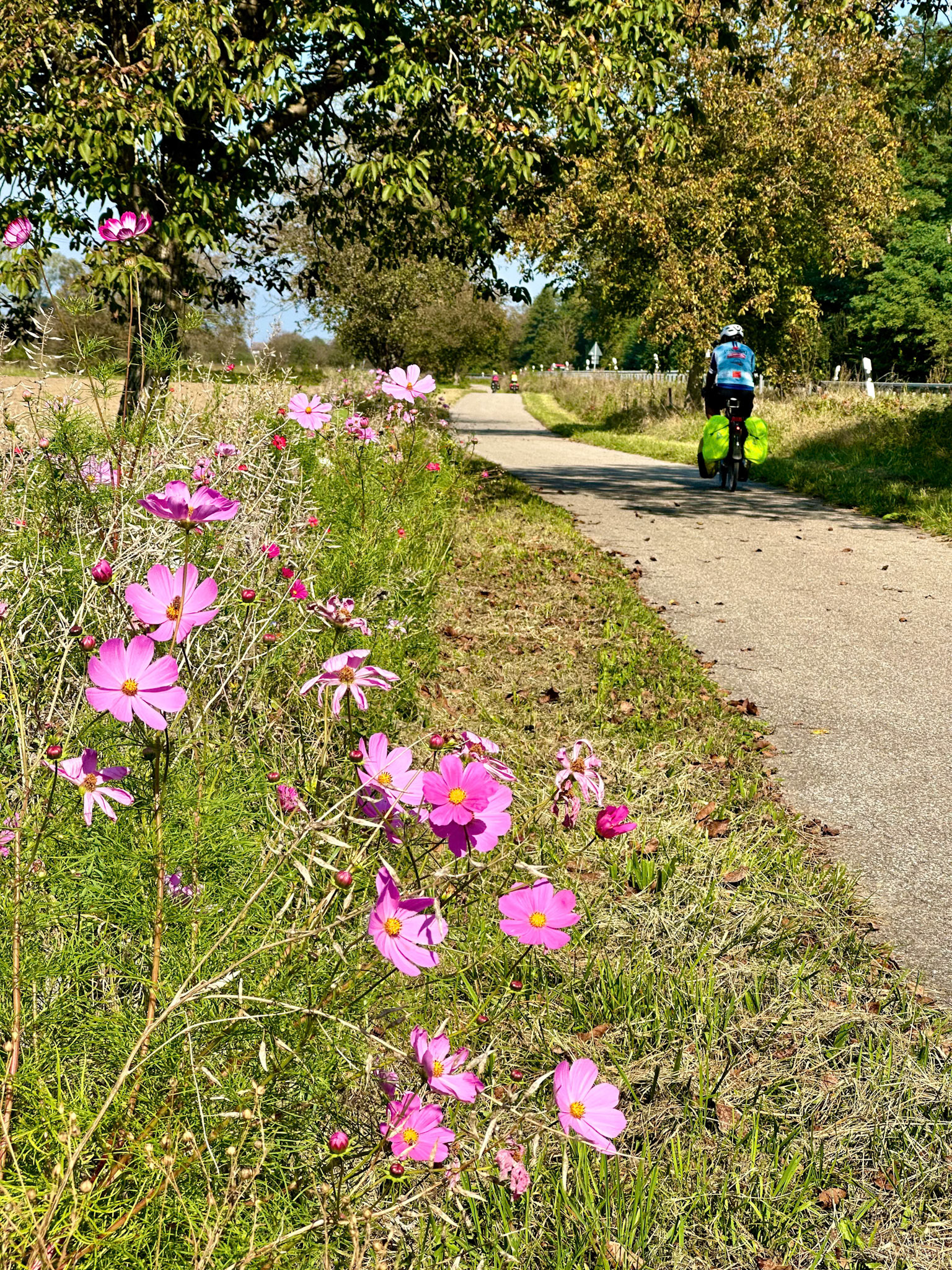 Rhein Pannier Trip 2024