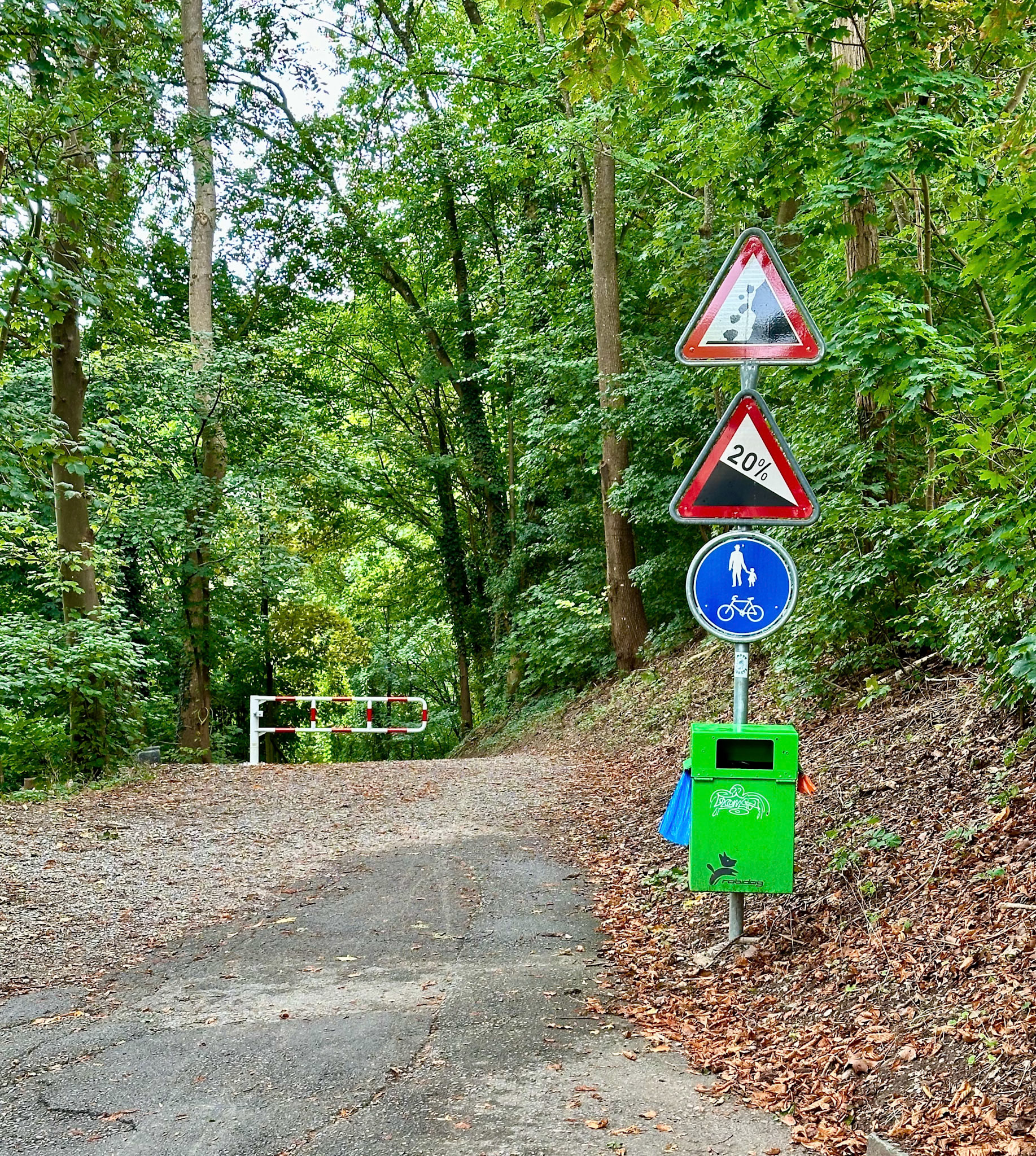 Rhein Pannier Trip 2024