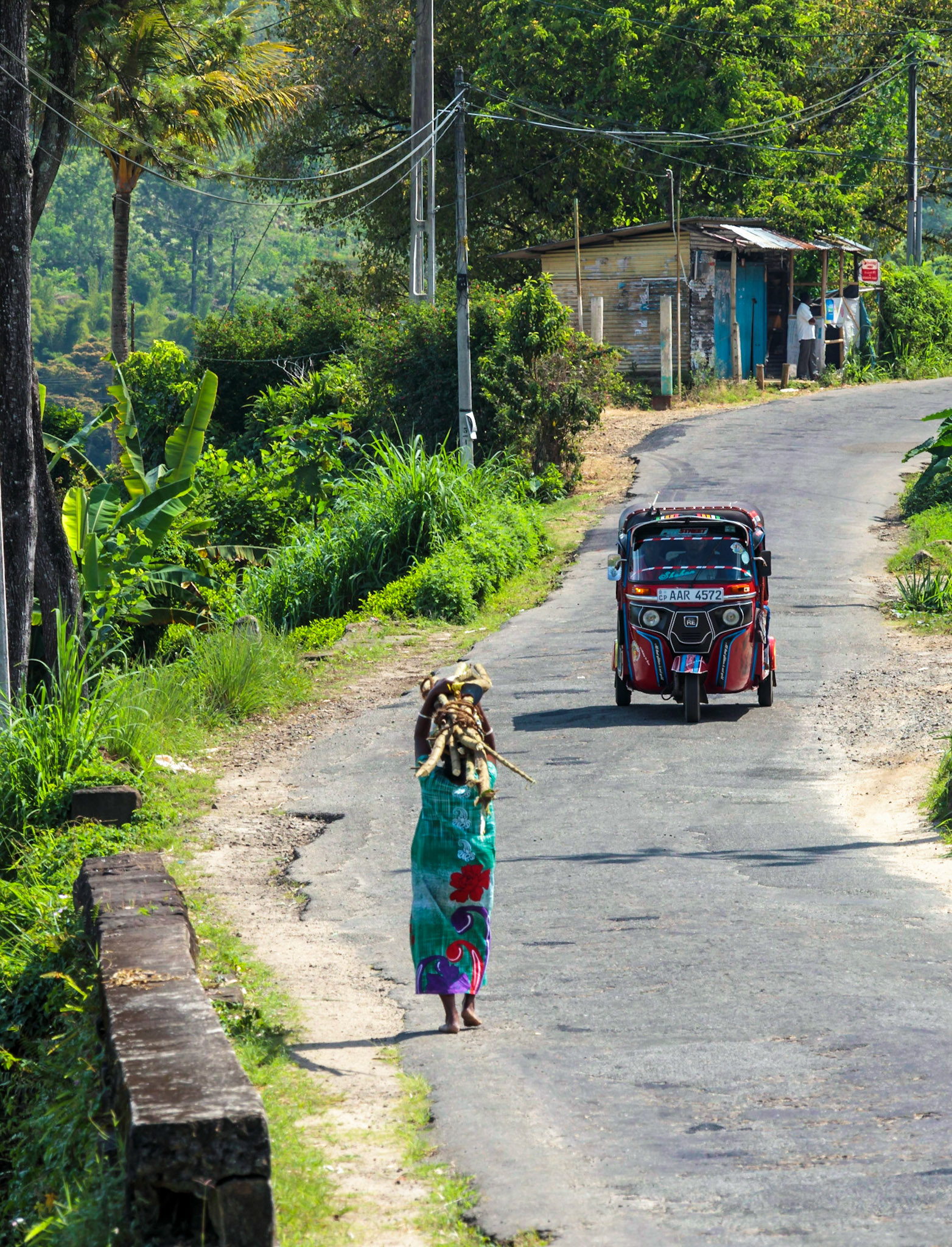 Sri Lankan Bicycle Adventure - Multiple Days Jan 2020