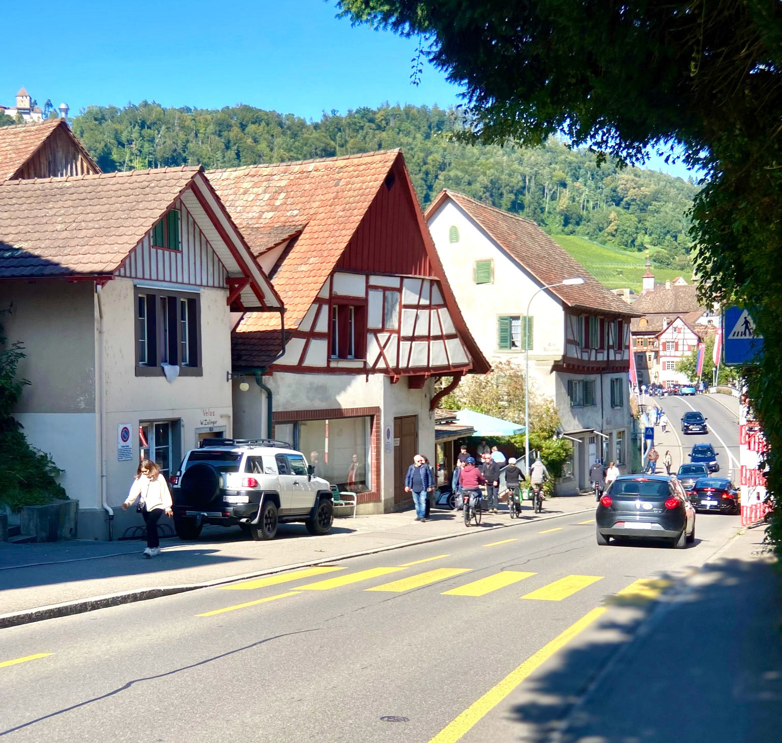 Rhein Pannier Trip 2024