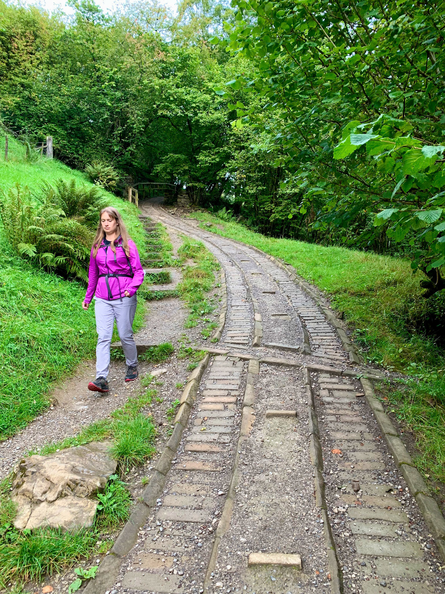 Norfolk, Herriot Way, London Sept 2022