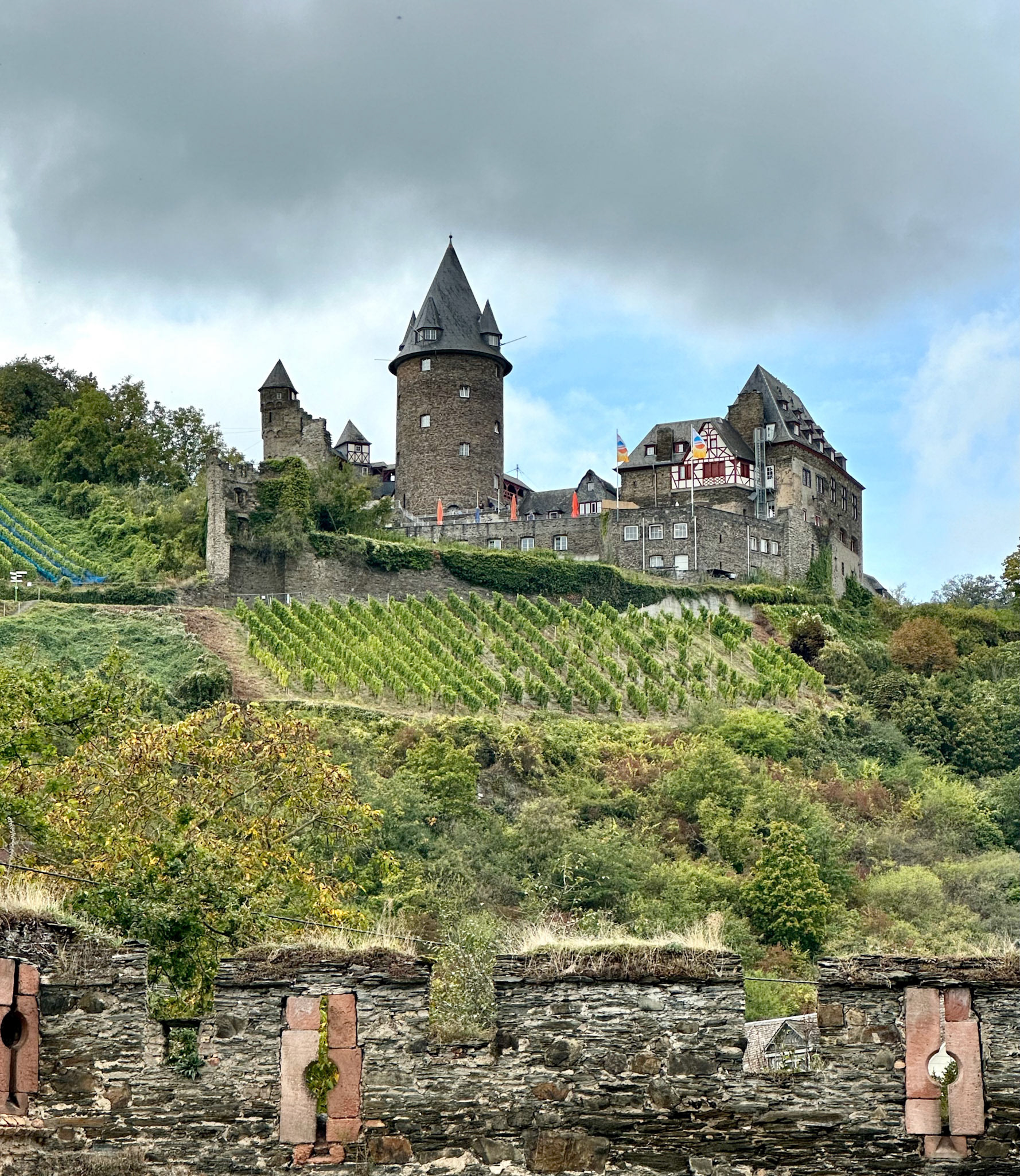 Rhein Pannier Trip 2024
