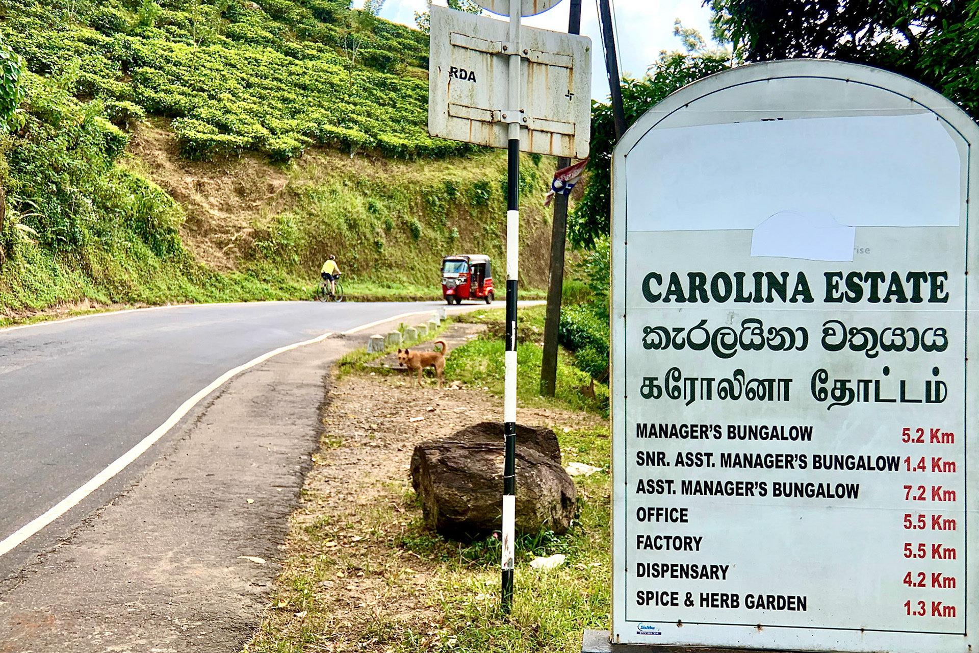 Kandy to Hatton Jan 12th, 2020