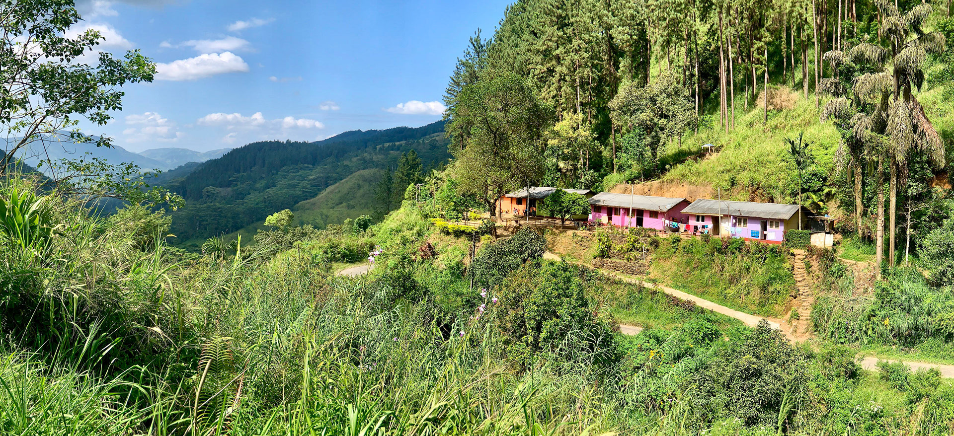 Kandy to Hatton Jan 12th, 2020