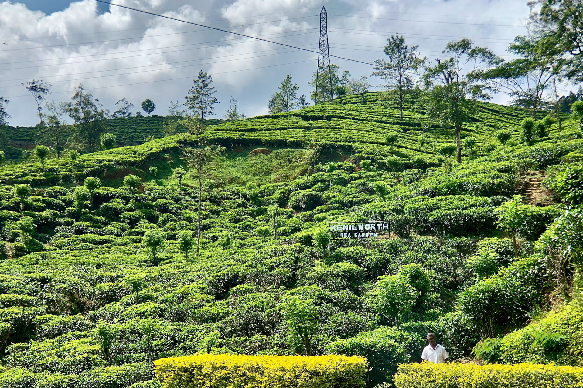 Kandy to Hatton Jan 12th, 2020