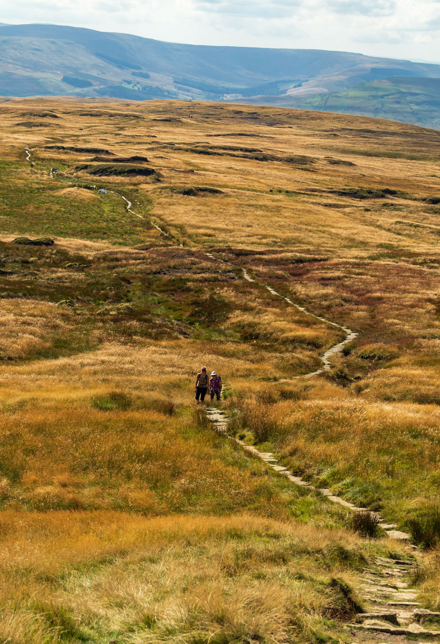 Herriot Way, 2022