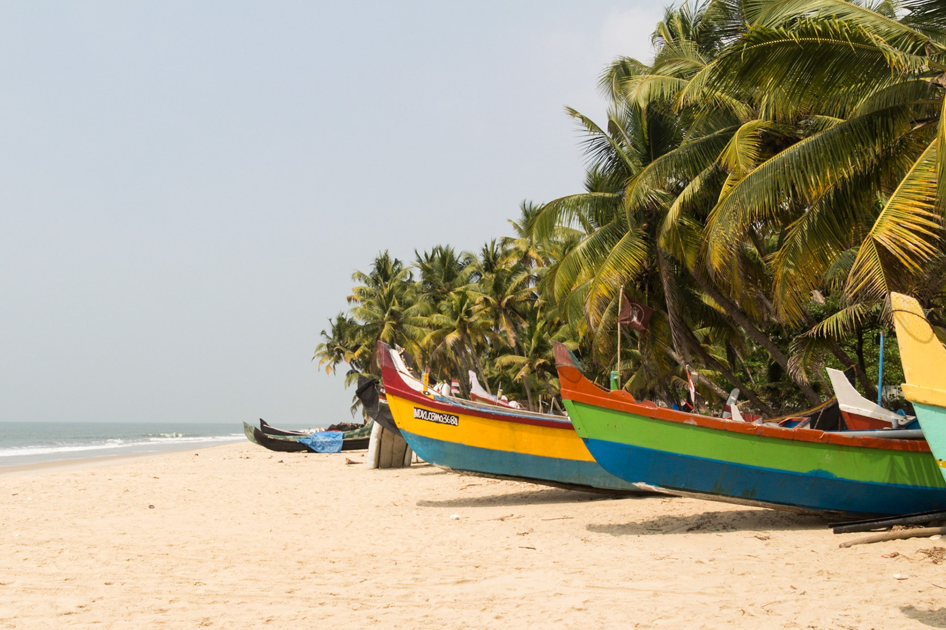 In the Kerala Backwaters and Fort Kochi