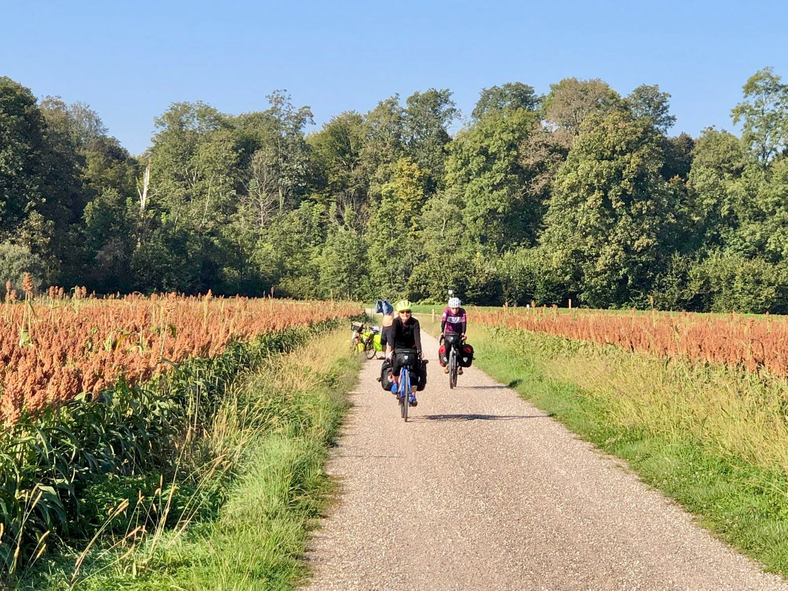 Rhein Pannier Trip 2024