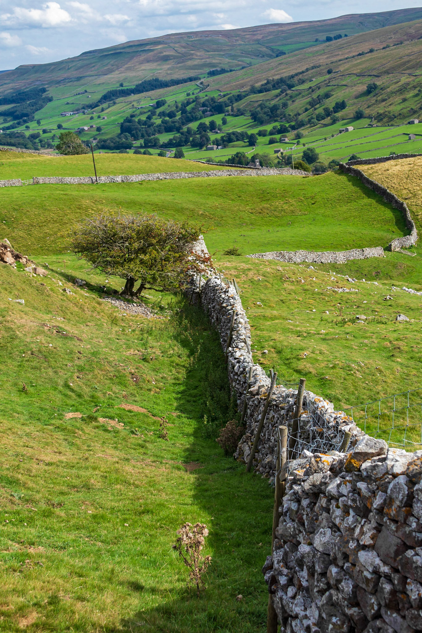 Herriot Way, 2022