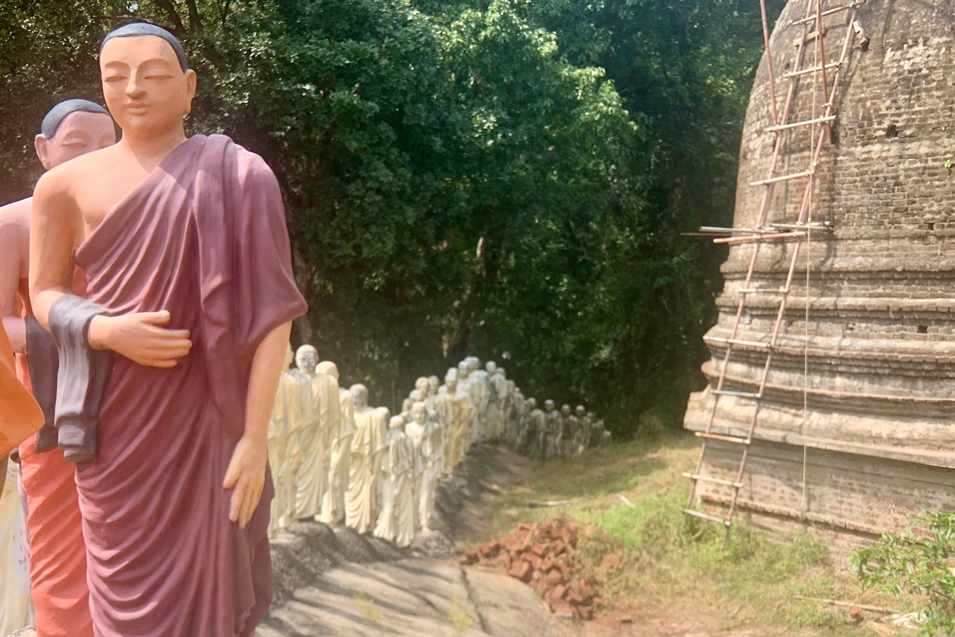 Mount Field to Udawalawe Jan 14th, 2020