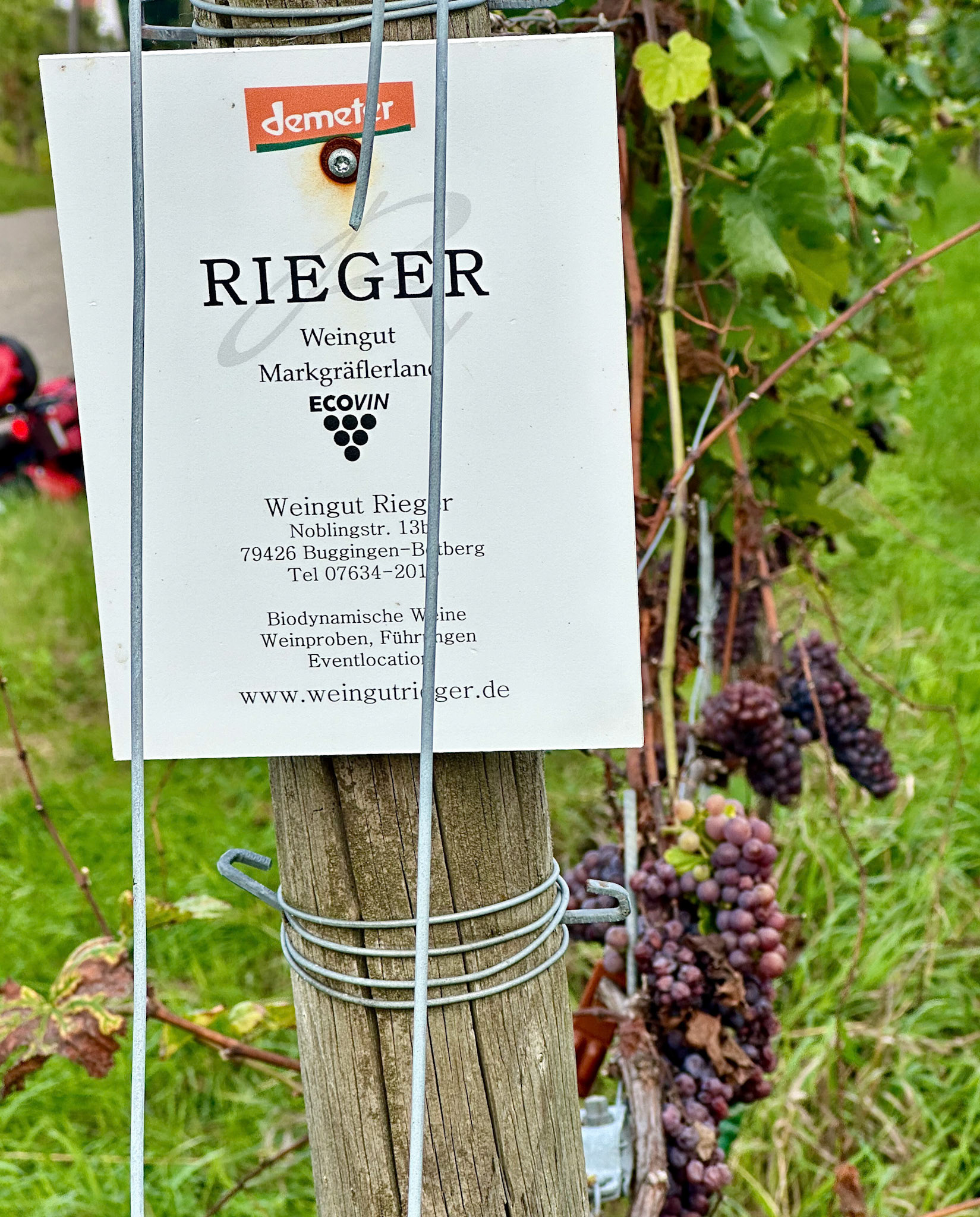 Rhein Pannier Trip 2024