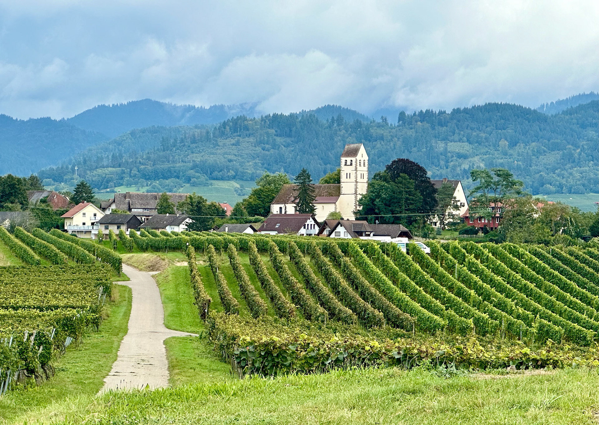 Rhein Pannier Trip 2024
