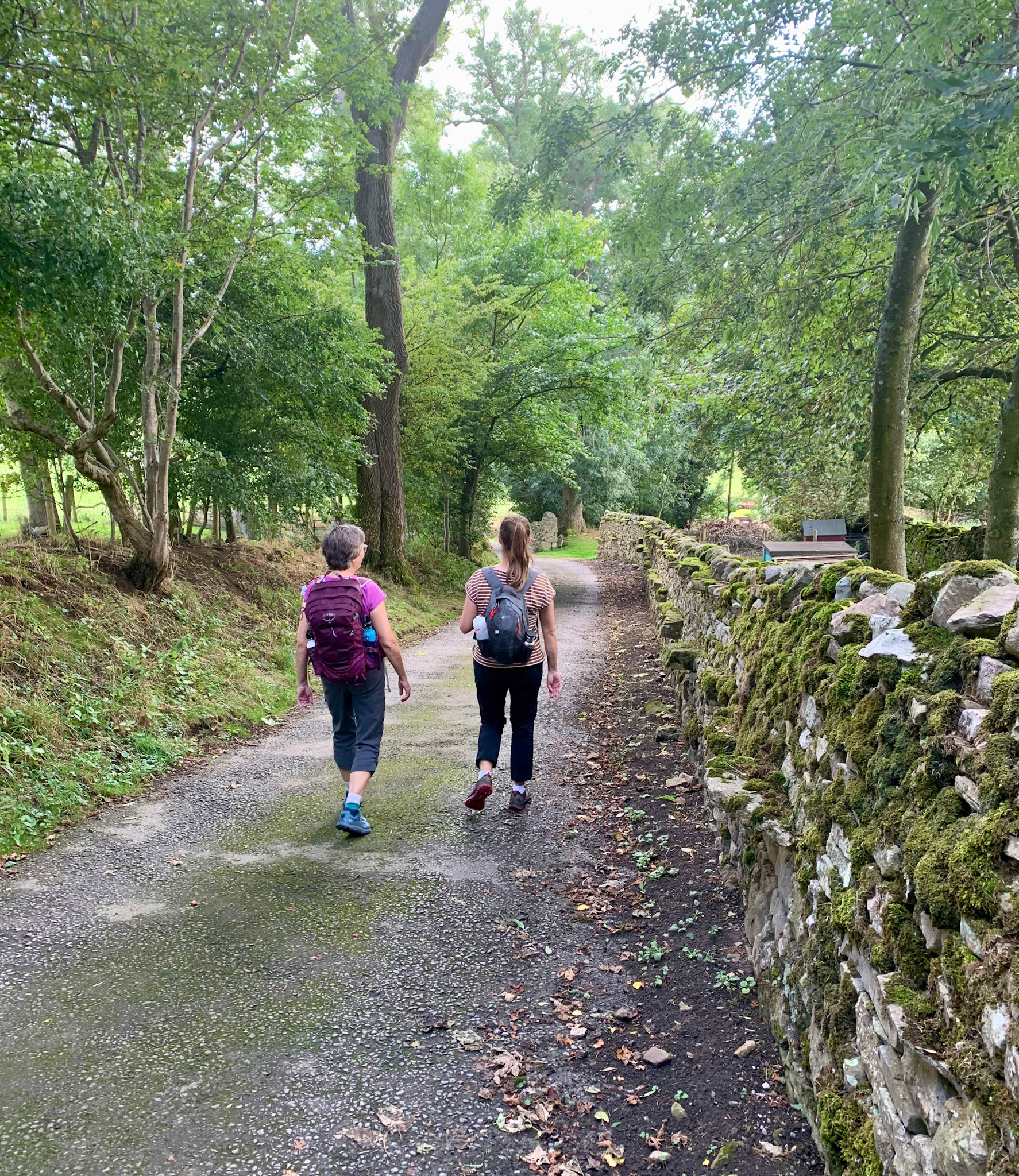 Norfolk, Herriot Way, London Sept 2022