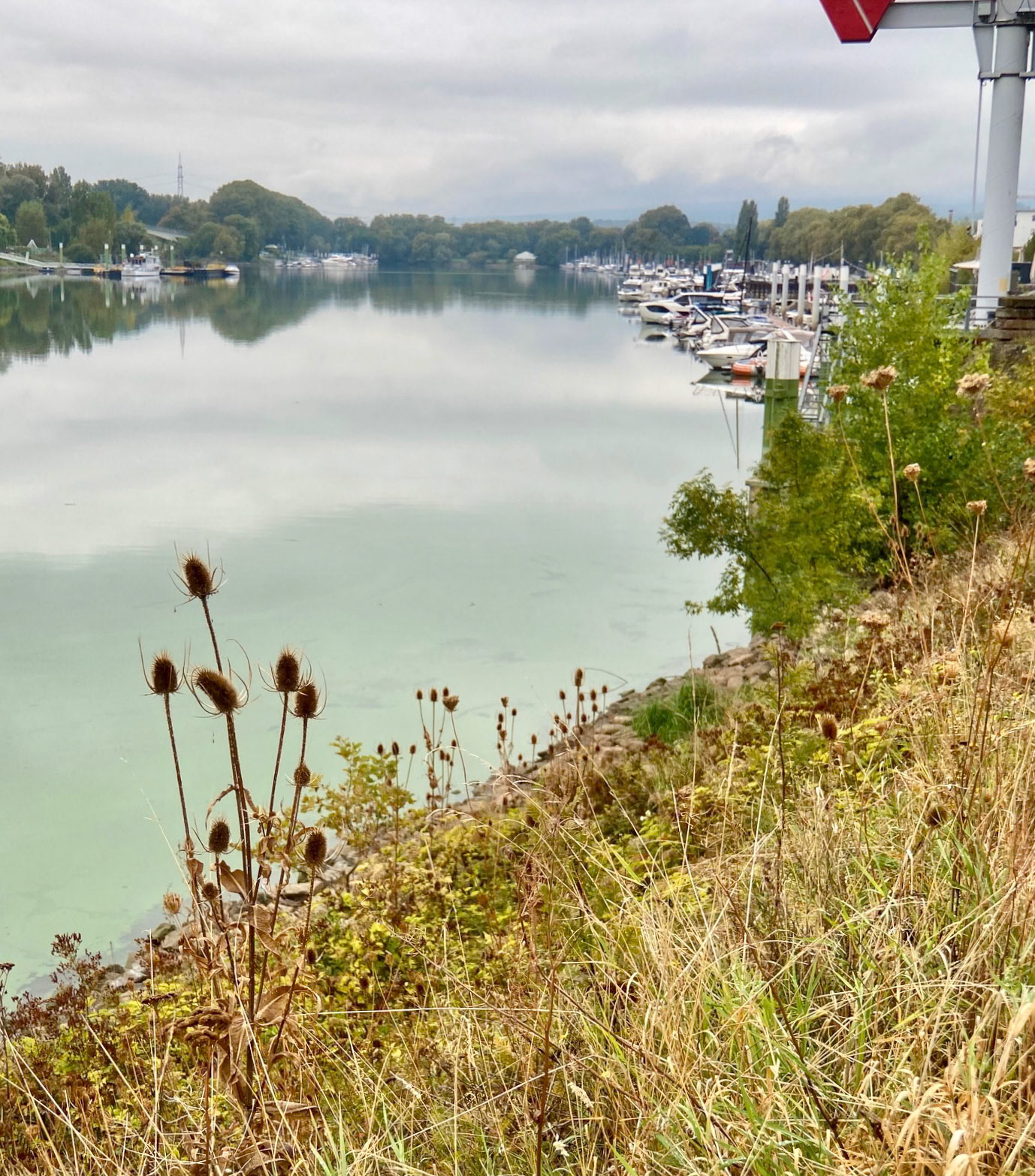 Rhein Pannier Trip 2024
