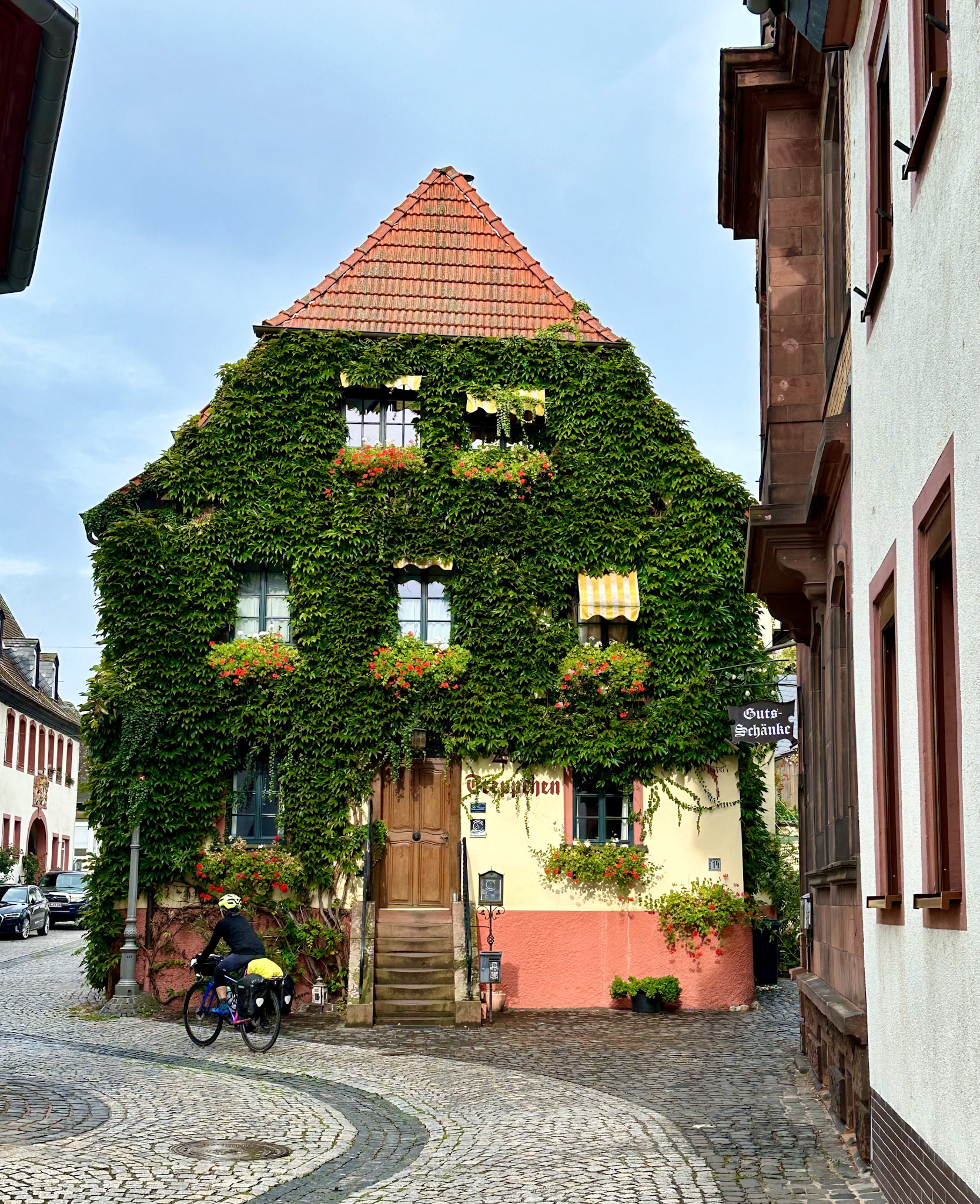 Rhein Pannier Trip 2024