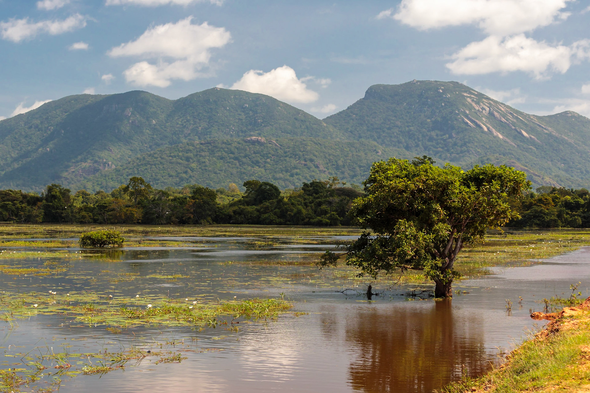 Sri Lankan Bicycle Adventure - Multiple Days Jan 2020