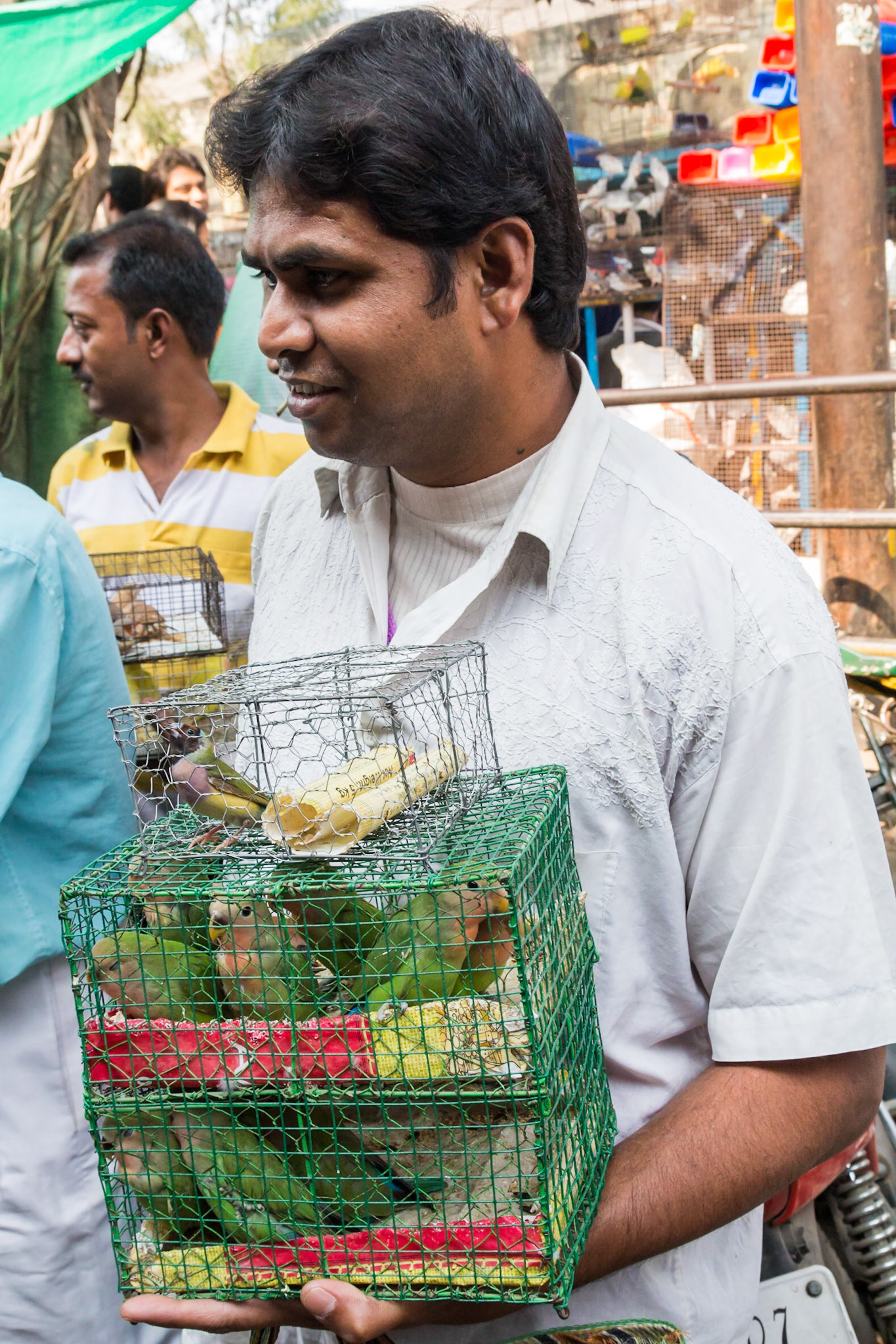 Around Kolkata