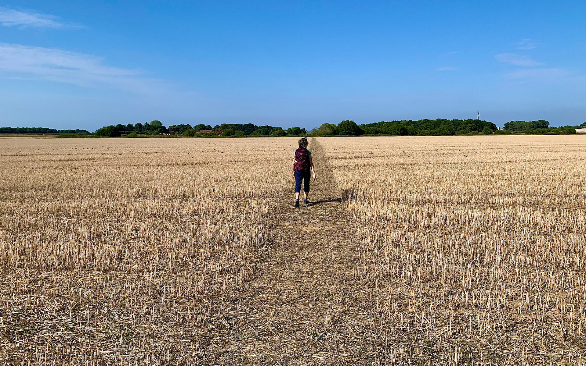 Norfolk, Herriot Way, London Sept 2022