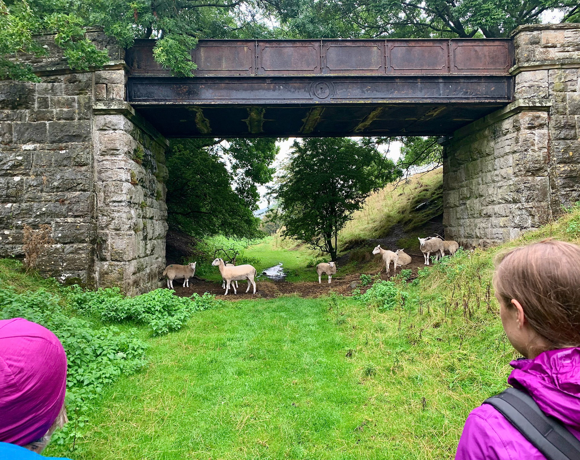 Norfolk, Herriot Way, London Sept 2022
