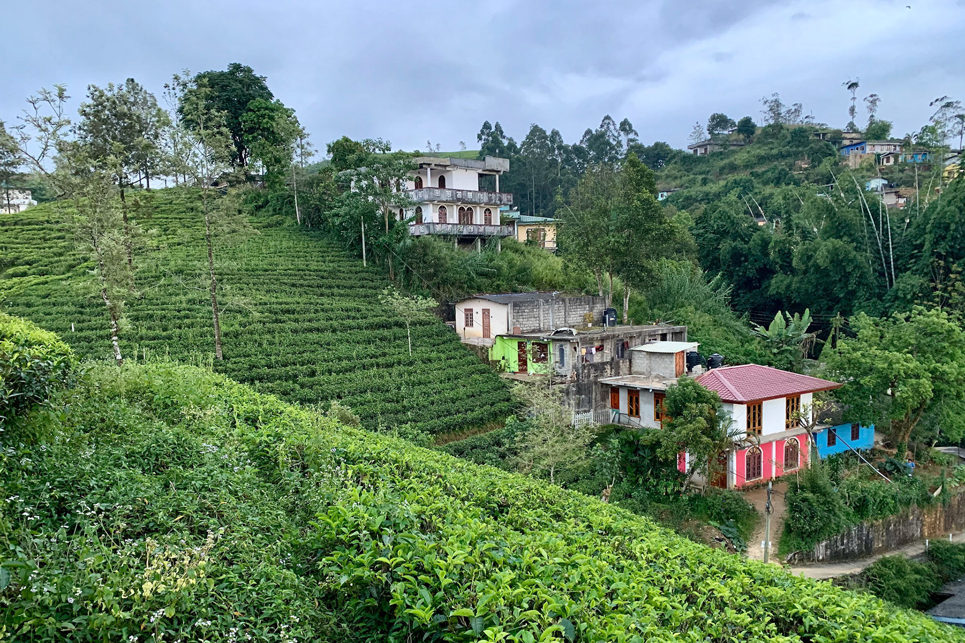 Kandy to Hatton Jan 12th, 2020