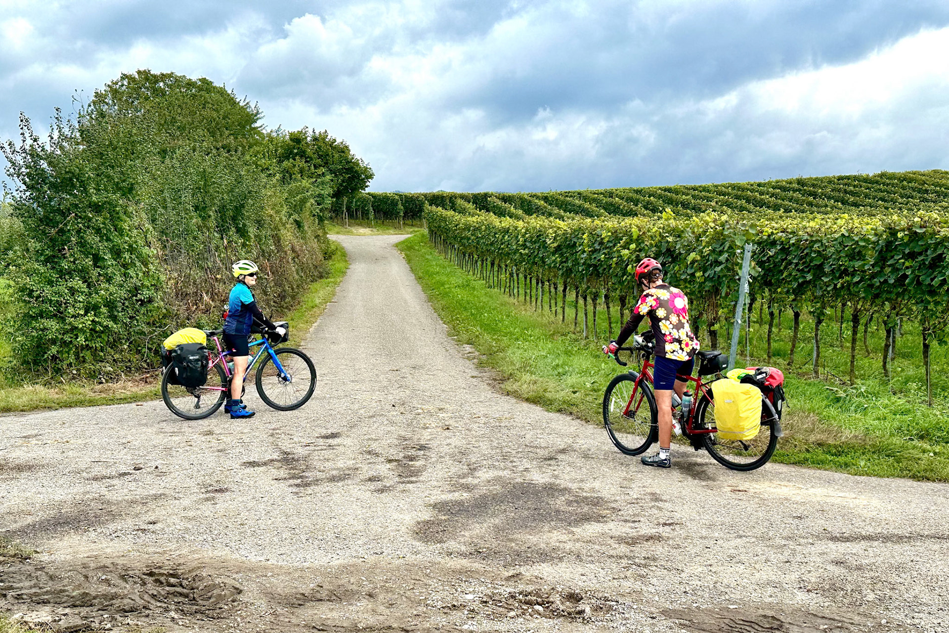 Rhein Pannier Trip 2024