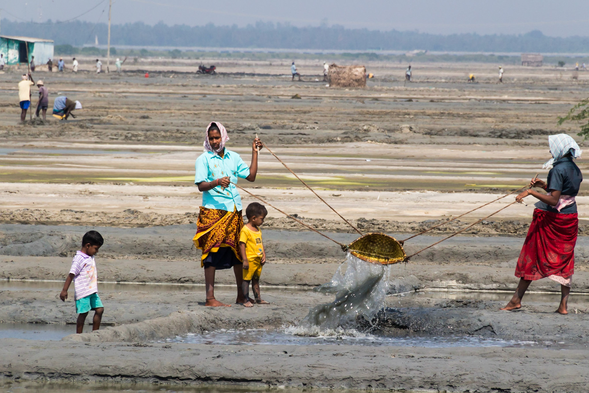 Families in the Fields