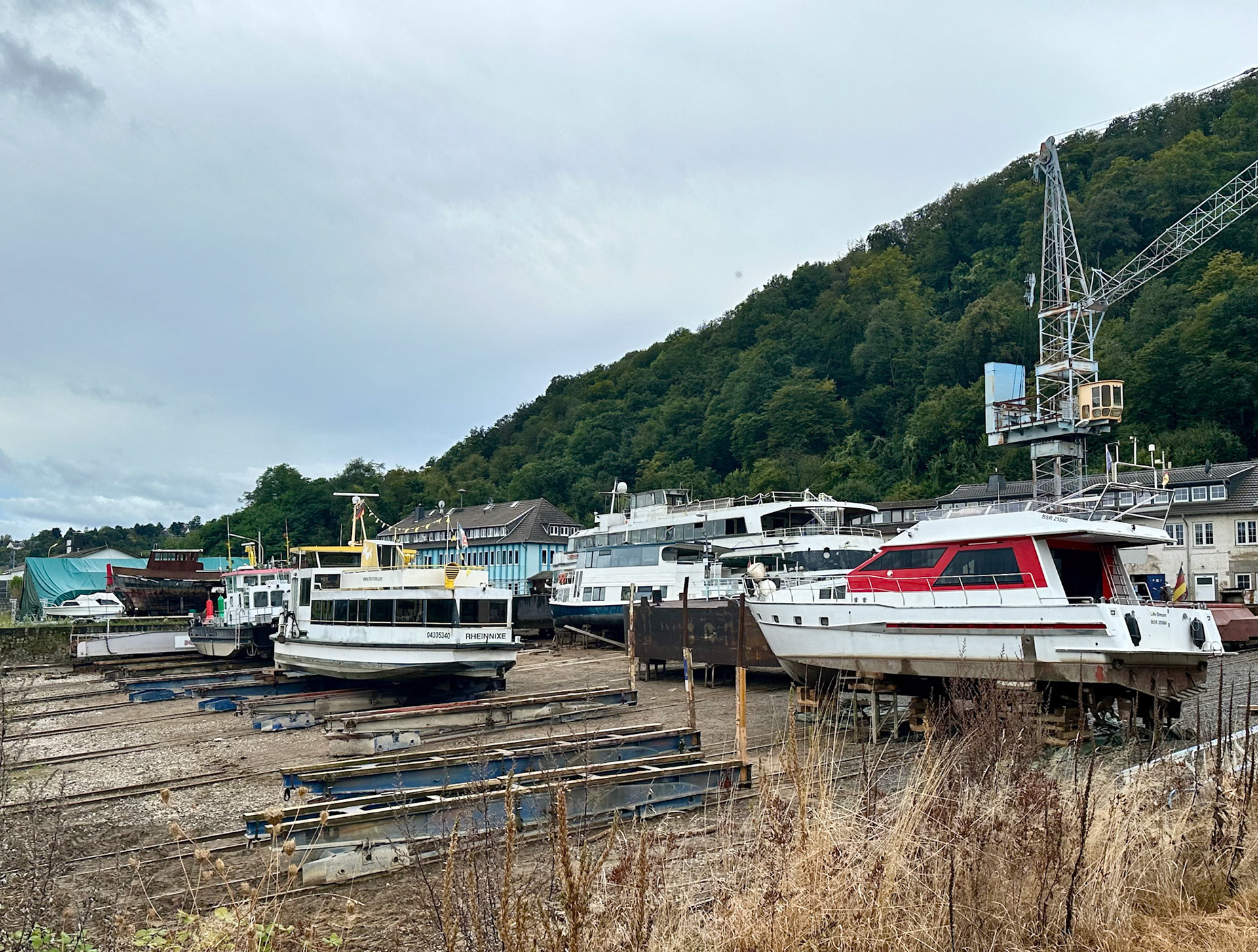 Rhein Pannier Trip 2024