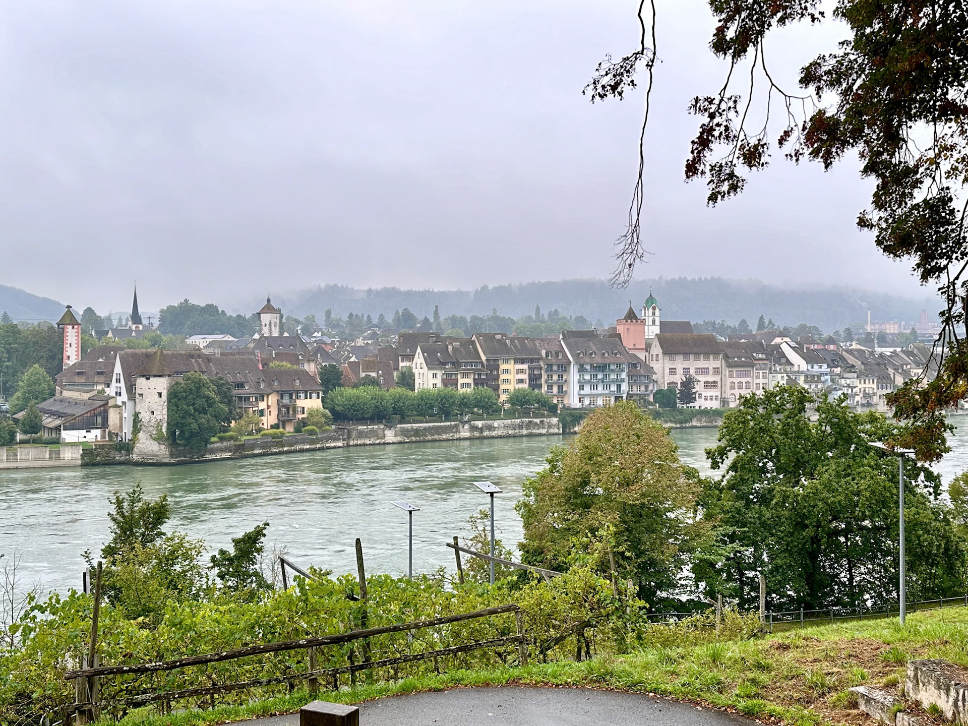 Rhein Pannier Trip 2024