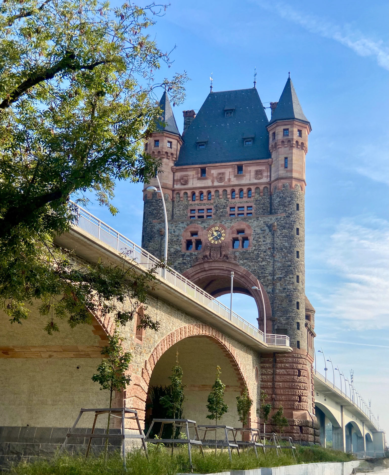 Rhein Pannier Trip 2024