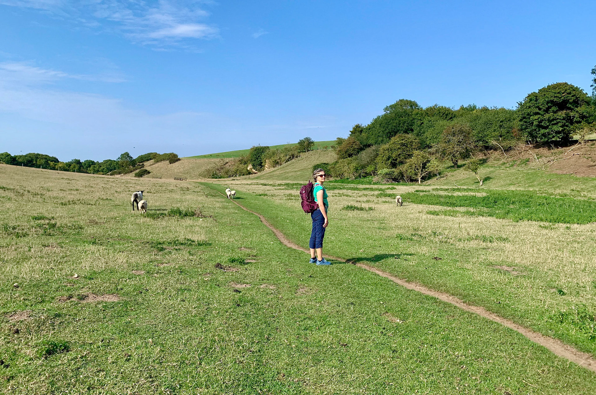 Norfolk, Herriot Way, London Sept 2022