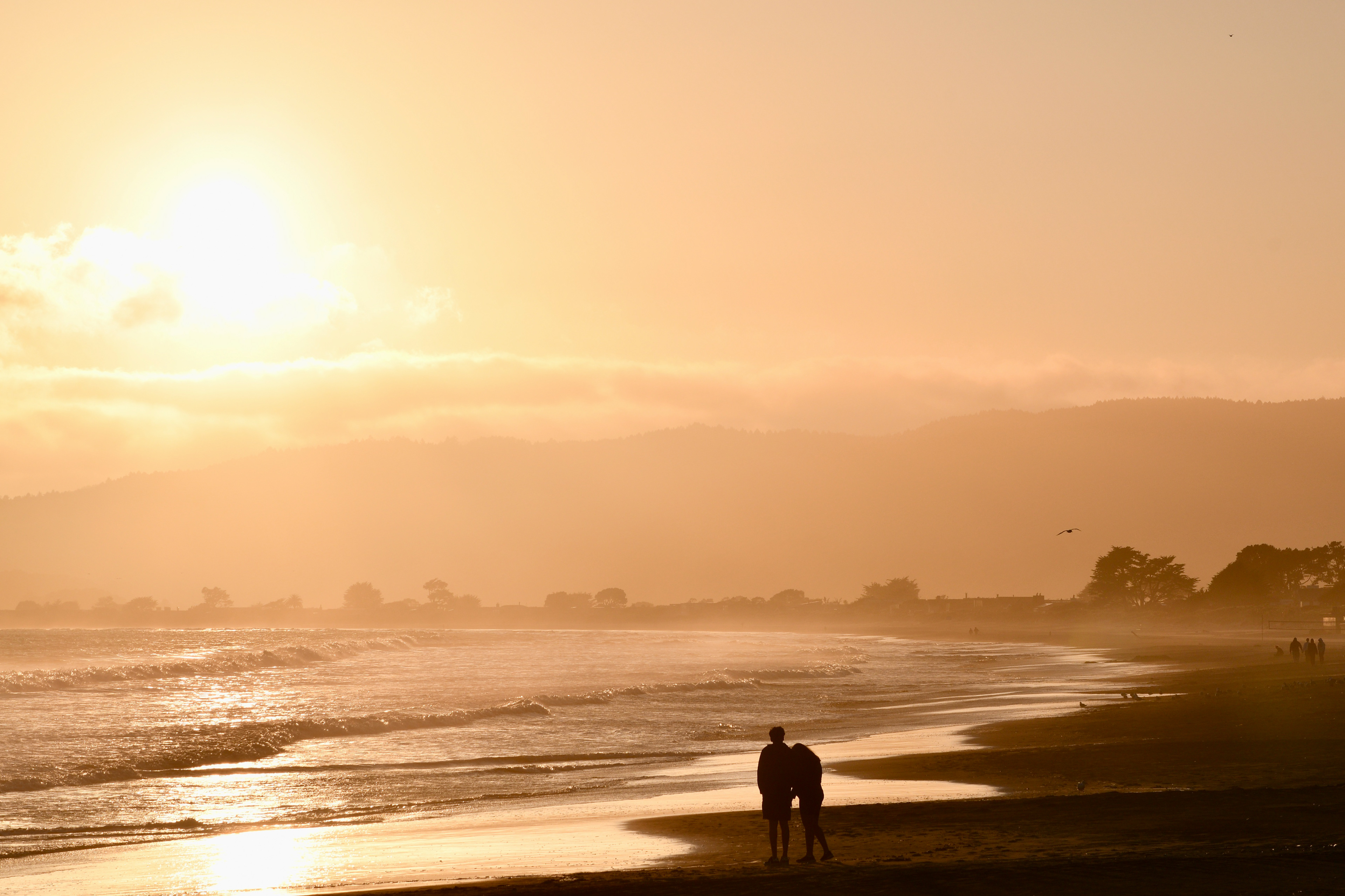 Stinson Beach Bay Area Family and Couples Photographer