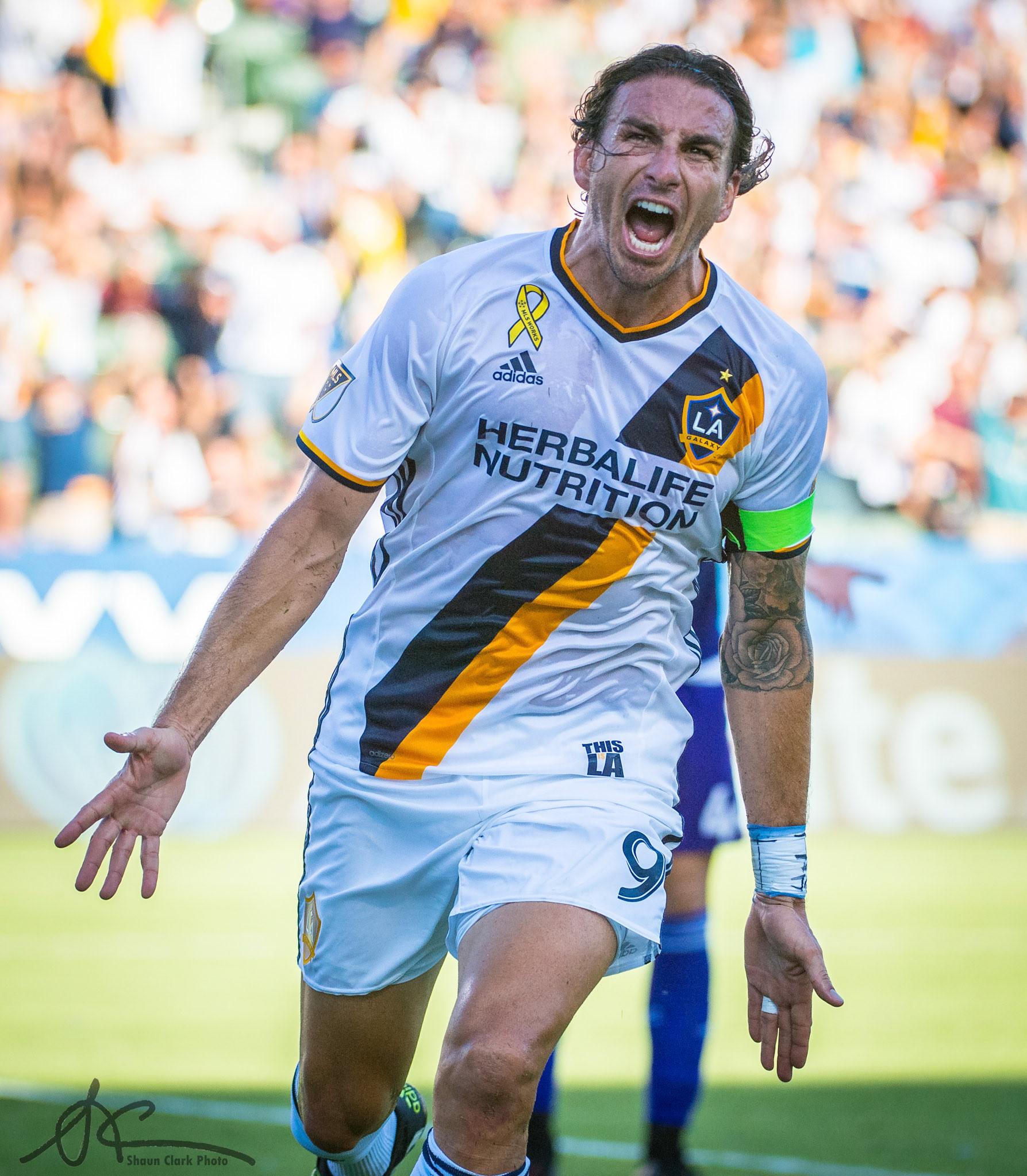CARSON, CA - September 11:  Alan Gordon #9 of Los Angeles Galaxy celebrates his a goal during Los Angeles Galaxy's MLS match against Orlando City SC at the StubHub Center on September 11, 2016 in Carson, California.  The Los Angeles Galaxy won the match 4-2  (Photo by Shaun Clark/Getty Images) *** Local Caption *** Gordon;